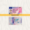 Czech Republic driver license psd template
