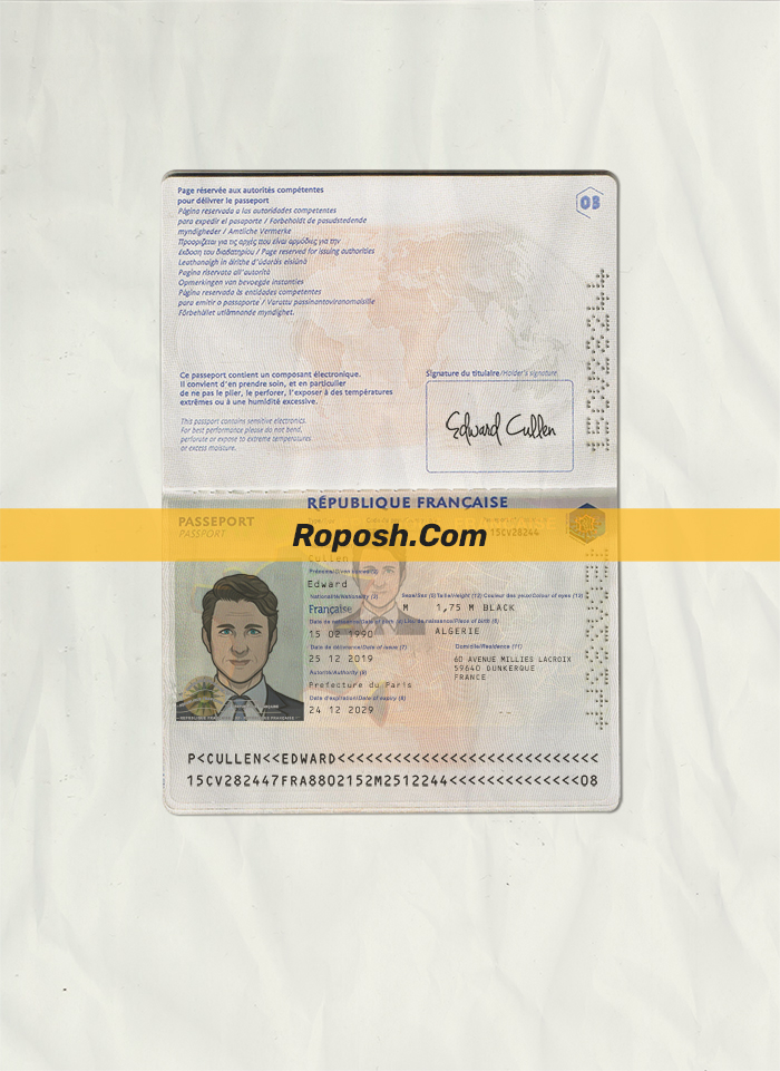 france passport psd template | roposh
