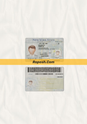 new york drivers license template psd free download