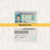 Netherlands driver license psd template