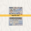 Wisconsin driver license psd template