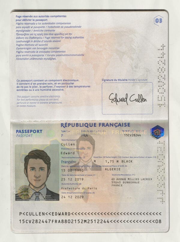 france passport psd template (3 version)