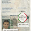 France passport template in PSD format, fully editable scan effect