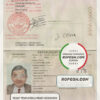 Madagascar passport template in PSD format, fully editable scan effect