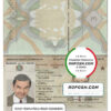 Somalia (Soomaaliya) passport template in PSD format, fully editable