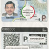 Bolivia driving license template in PSD format, fully editable (2017 – present)