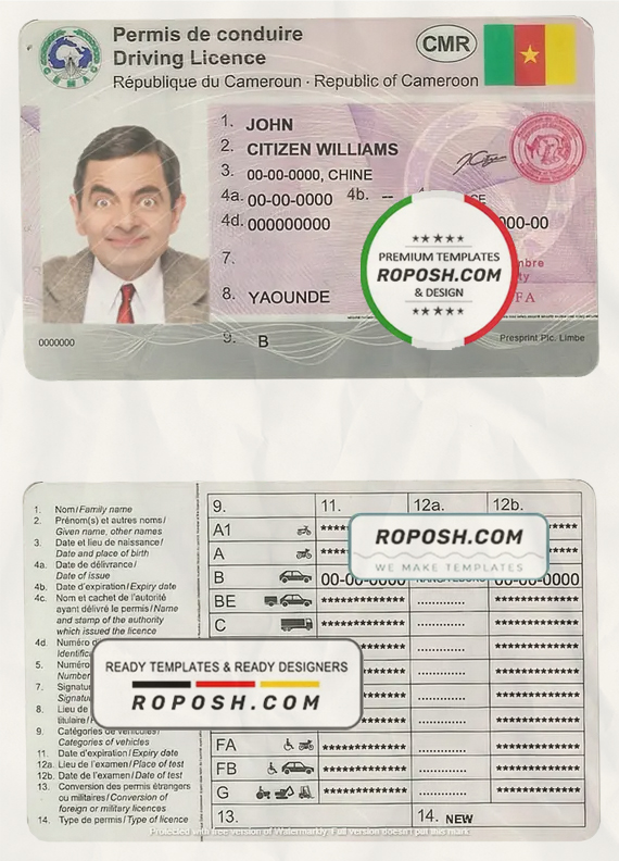 Cameroon driving license template in PSD format, fully editable scan effect