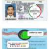 Indonesia driving license template in PSD format, fully editable