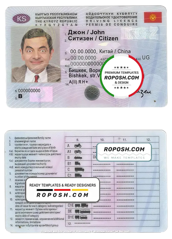 Kyrgyzstan driving license template in PSD format, fully editable scan effect