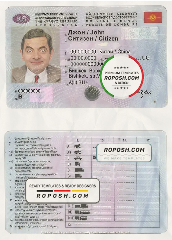 Kyrgyzstan driving license template in PSD format, fully editable scan effect