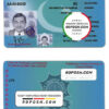Pakistan City Traffic Police Lahore driver license template in PSD format, with all fonts, fully editable