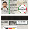 Puerto Rico driving license template in PSD format, fully editable