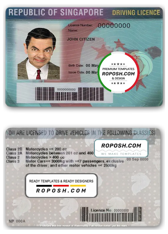 Singapore driving license template in PSD format, fully editable, with all fonts