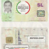 Sri Lanka driving license template in PSD format, fully editable scan effect