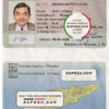 Timor-Leste driving license template in PSD format, fully editable