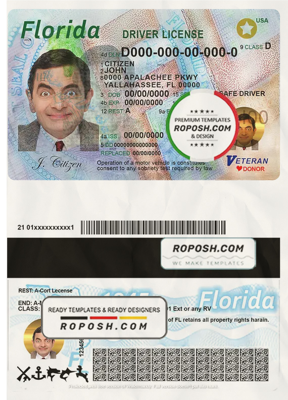 USA Florida driving license template in PSD format scan effect