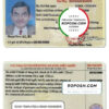 Vietnam driving license template in PSD format, fully editable