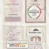 Italy Identity Card (La Carta D'Identita' Italiana) template in PSD format, fully editable scan effect