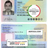 Netherlands ID template in PSD format
