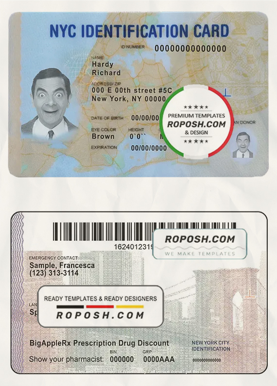 USA New York state ID template in PSD format, fully editable scan effect