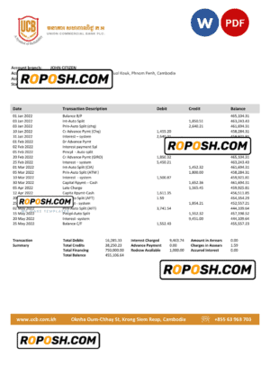 Cambodia Union Commercial bank statement Word and PDF template