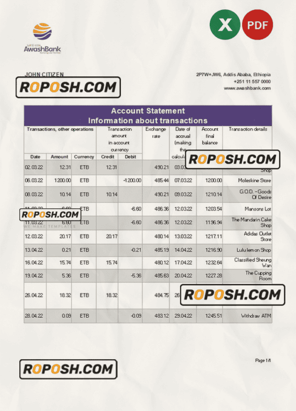 Ethiopia Awash Bank statement Excel and PDF template