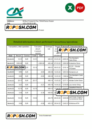 France Credite Agricole Bank statement Excel and PDF template