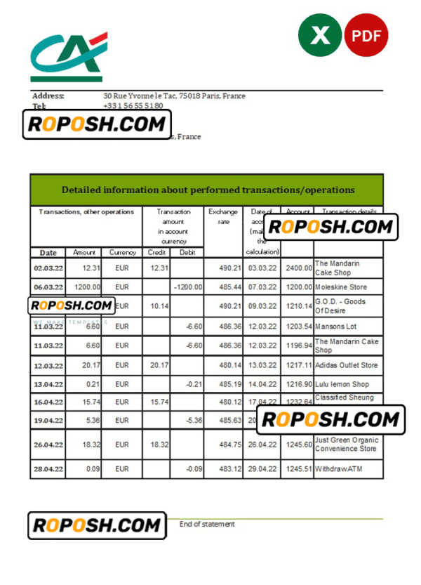 France Credite Agricole Bank statement Excel and PDF template