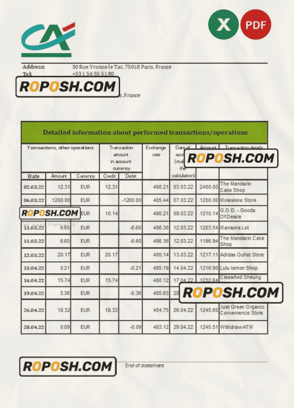 France Credite Agricole Bank statement Excel and PDF template