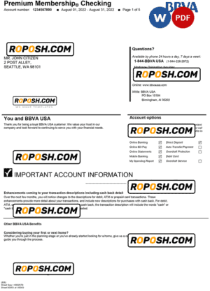 USA BBVA bank statement Word and PDF template, 5 pages