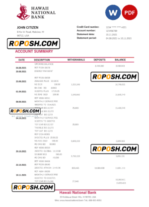 Hawaii Hawaii National Bank statement Word and PDF template