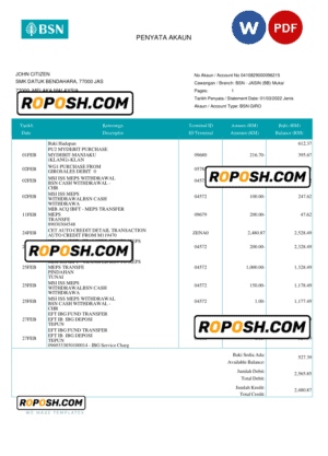 Malaysia BSN bank account statement (penyata akaun), Word and PDF template (in English and in Malay languages)