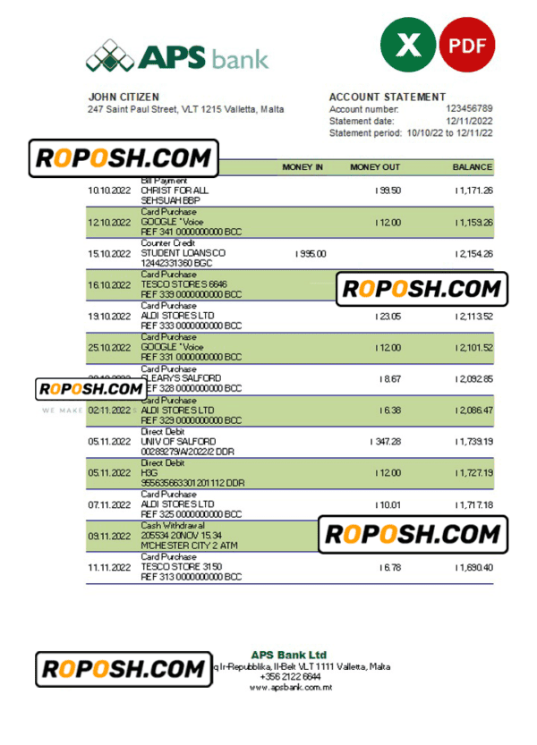 Malta APS bank statement Excel and PDF template