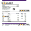 Netherlands SNS bank statement Excel and PDF template
