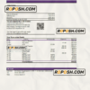 Netherlands SNS bank statement Excel and PDF template