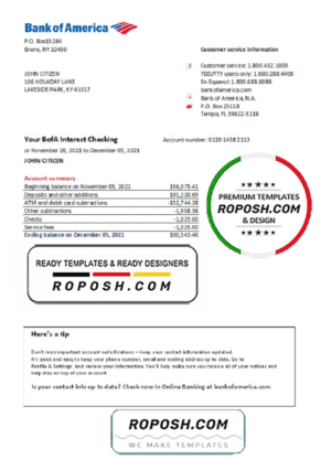 USA Bank of America bank statement easy to fill template in .xls and .pdf file format