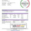 USA Truist Bank statement template in .xls and .pdf file format