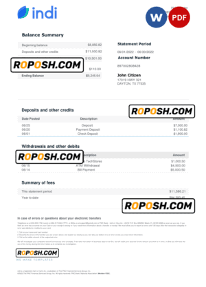 USA indi bank statement, Word and PDF template
