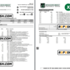 USA Woodforest bank statement Excel and PDF template, 3 pages