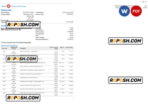 USA BMO bank statement, Word and PDF template, 4 pages