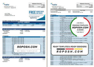 USA Missouri Together Credit Union bank statement template in Word and PDF format (6 pages)