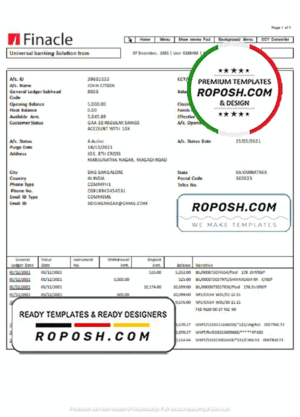 India Finacle bank statement easy to fill template in Word and PDF format