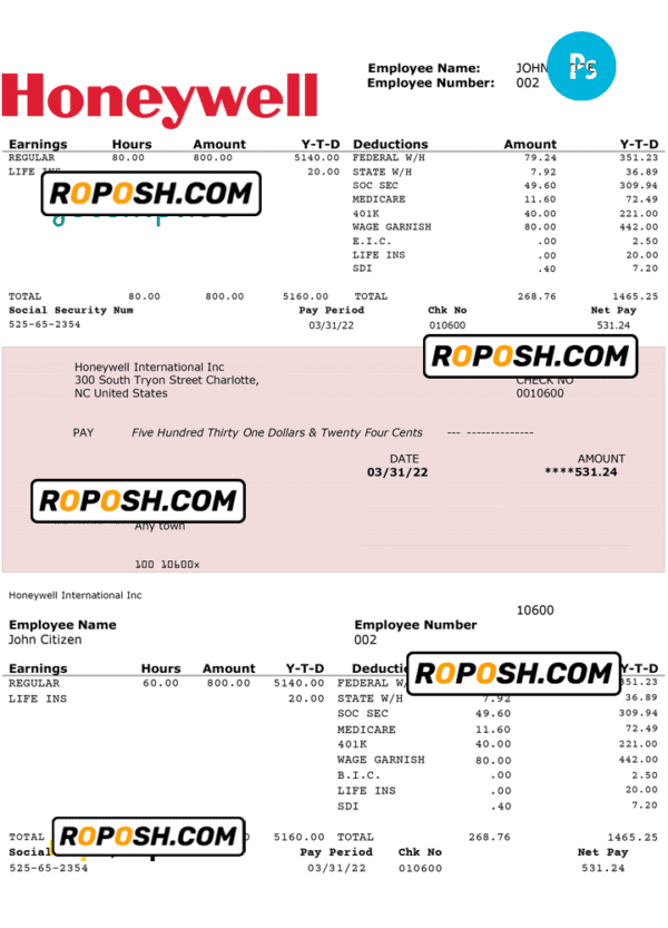 USA Honeywell conglomerate company pay stub PSD template