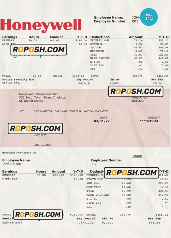 USA Honeywell conglomerate company pay stub PSD template