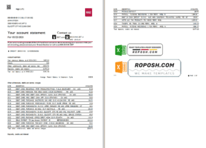 USA North Carolina BB&T Corp. bank statement template in Excel and PDF format (2 pages)