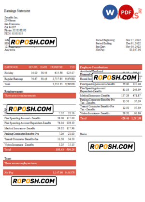 USA Zenefits technology company pay stub Word and PDF template