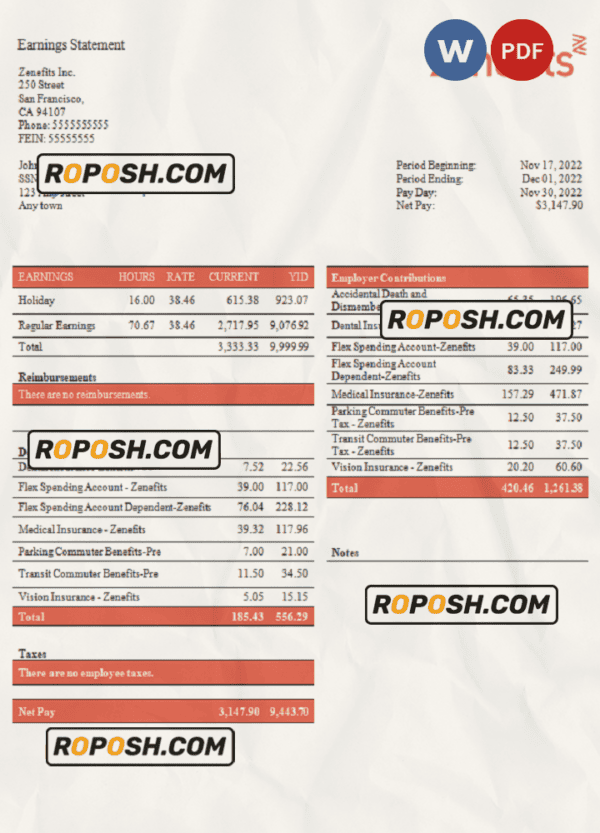 USA Zenefits technology company pay stub Word and PDF template