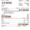 USA Xfinity broadasting company pay stub Word and PDF template