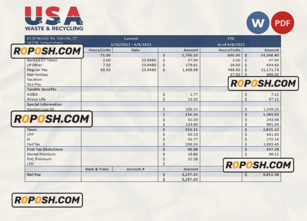 USA Waste & Recycling recycling company pay stub Word and PDF template