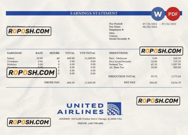 USA United Airlines Holdings airlines company pay stub Word and PDF template